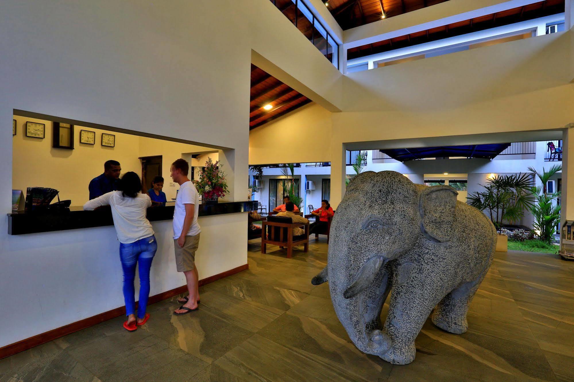The Blue Wave Hotel Arugam Bay Exteriér fotografie